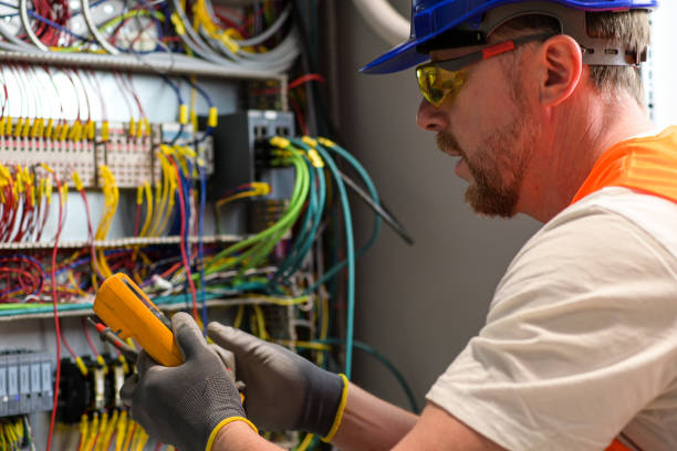 Best Electric Panel Repair  in Desnso, CA